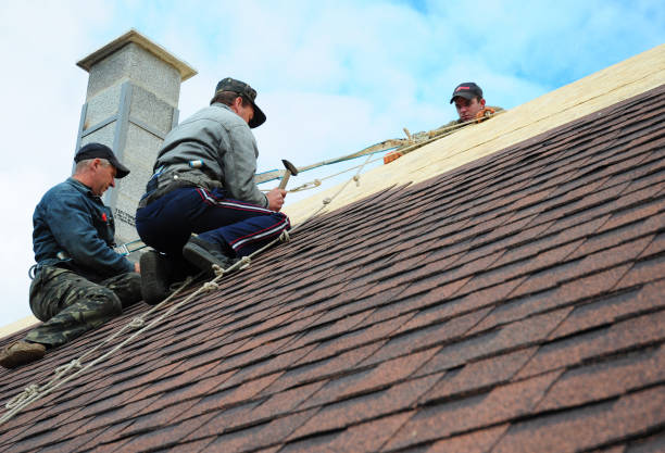 Best Roof Gutter Cleaning  in Parklawn, CA